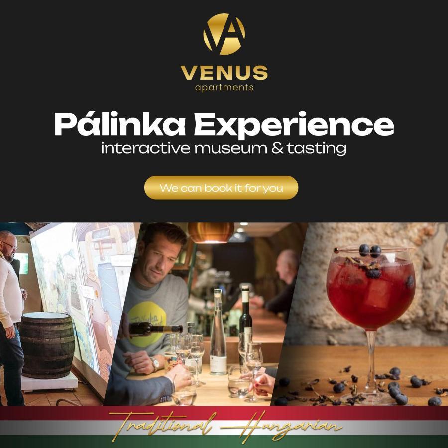 Venus Apartments - King Street IV 布达佩斯 外观 照片